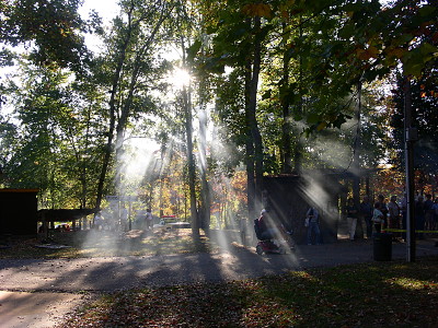 [Smoke making the rays of the sun visible through the trees.]